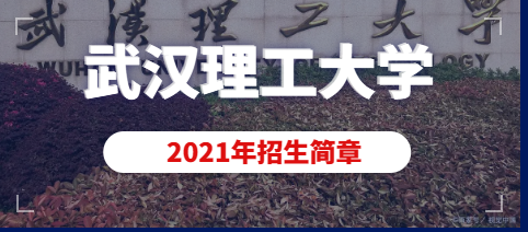 2021年武汉理工大学美术类（动画）专业招生简章
