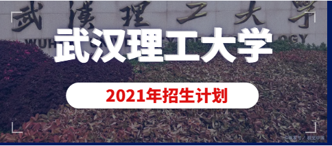 武汉理工大学2021年艺术类本科（动画）专业招生计划