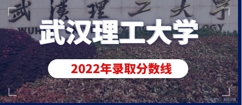 武汉理工大学2022年美术类（动画）专业录取分数线