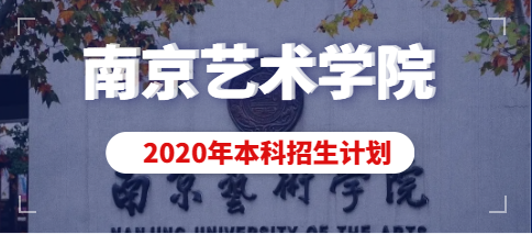 南京艺术学院2020年本科专业招生计划